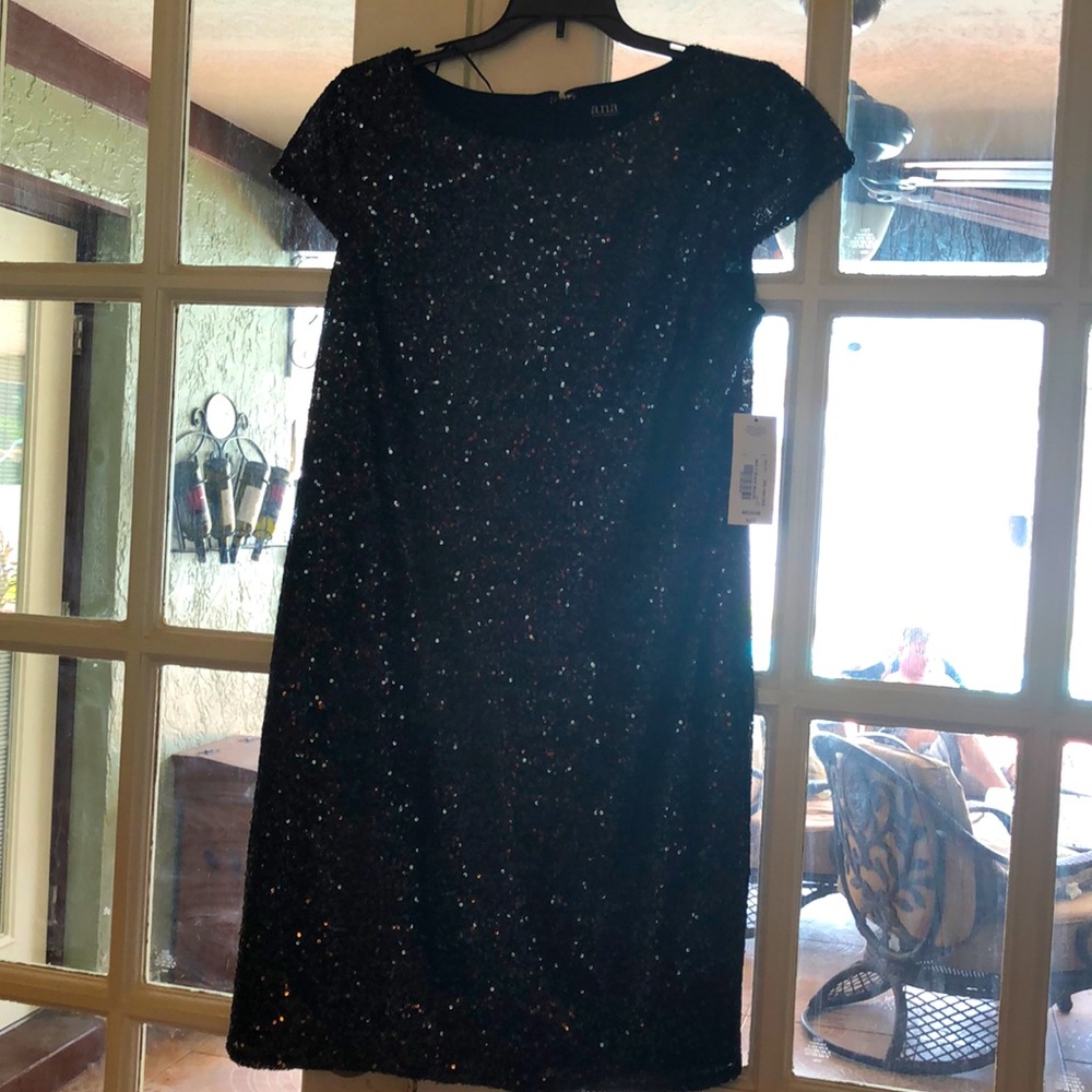 Ana Medium Sparkle dress -New with Ta